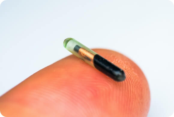 A microchip balances on the tip of a human finger