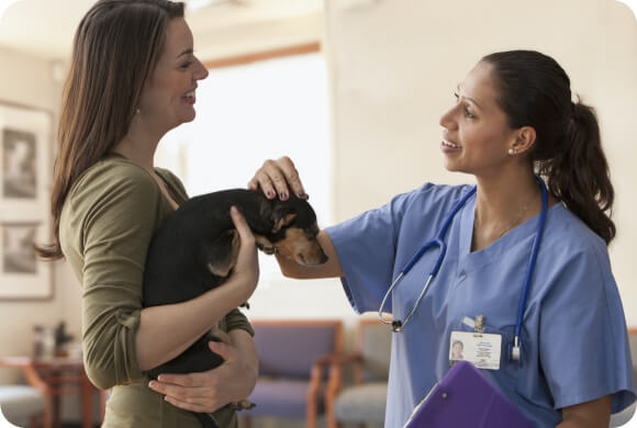 A vet consults a client while petting a dog