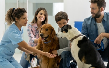 A family takes their dogs to the vet's office