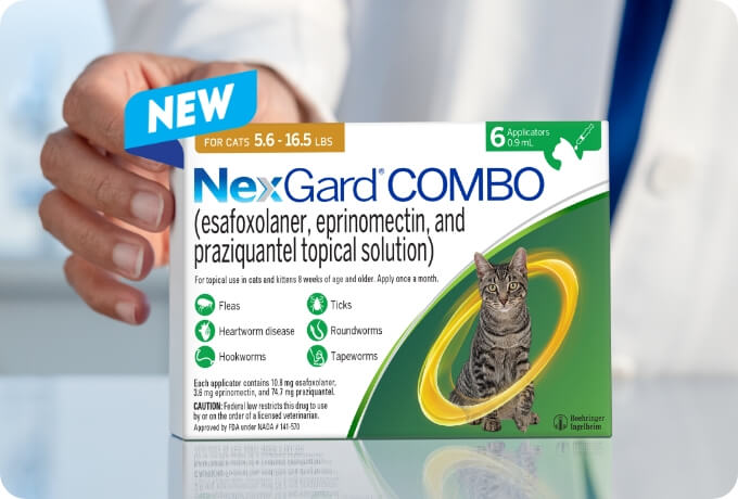 A vet holds the package of NexGard Combo | Healthy Habits For New Pets