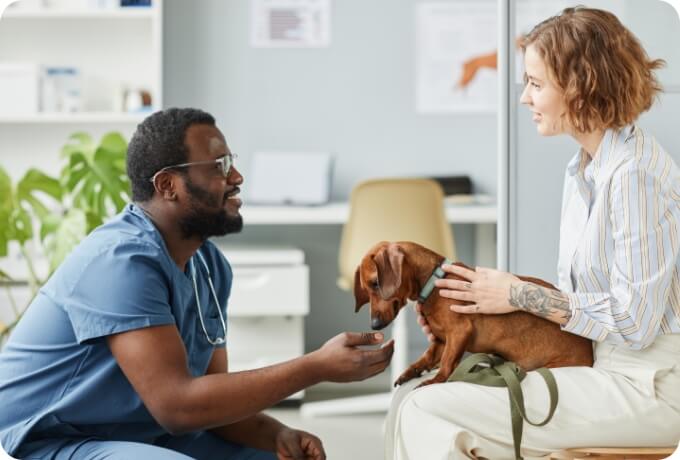 A vet speaks to his client who is holding her dachshund on her lap | Healthy Habits For New Pets
