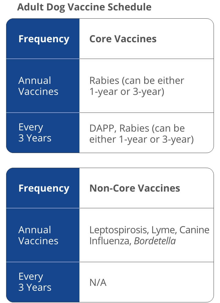 A chart showing an example of a vaccination schedule for Adult Dogs. The chart shows the Annual Vaccines and Rabies, Leptospirosis, Lyme, and Bordetella bronchiseptica. For every 3 years, Adult Dogs also require DAP and Rabies† | Healthy Habits For New Pets