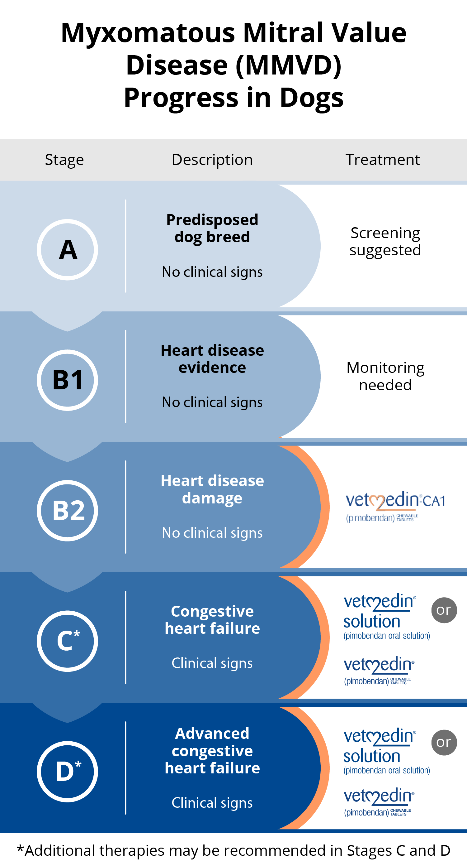 Myxomatous mitral valve disease process chart 