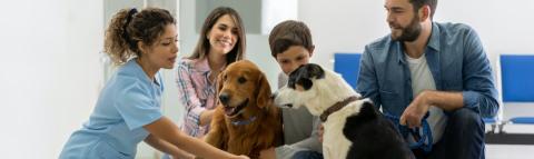 A family takes their dogs to the vet's office